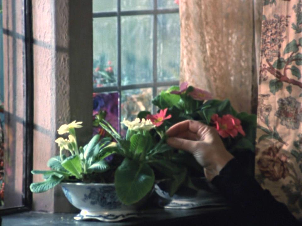 威斯特里亚寓所剧照的剧照