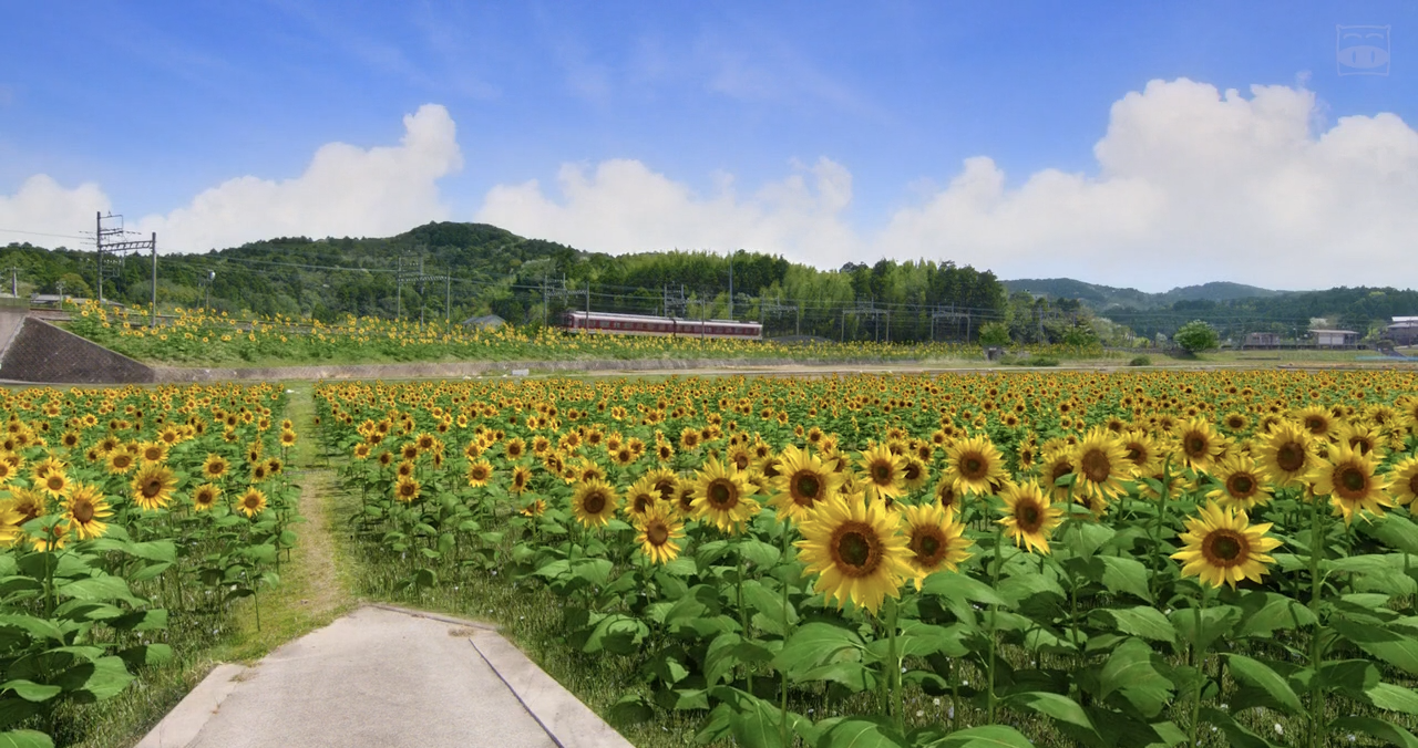 青夏剧照的剧照