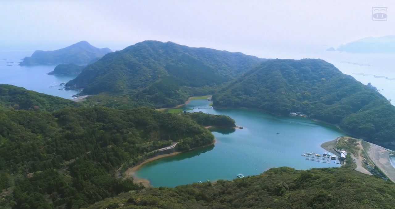 青夏剧照的剧照