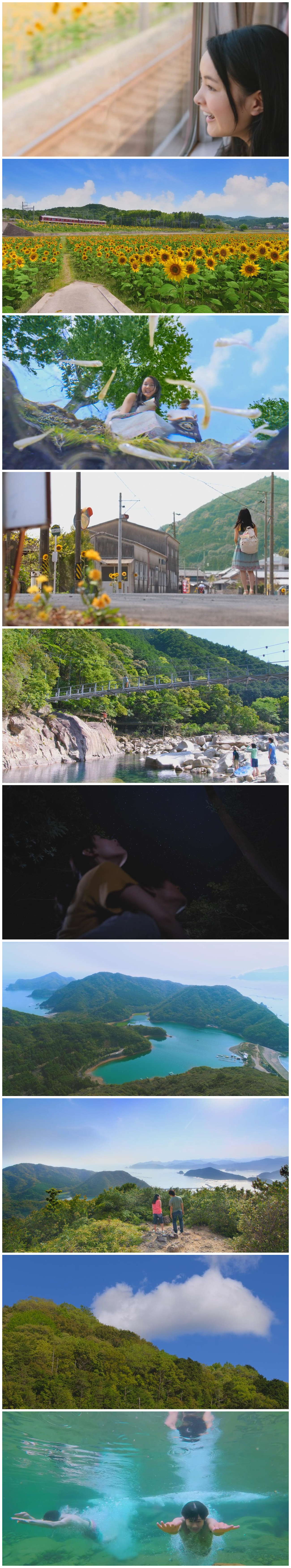 青夏剧照的剧照