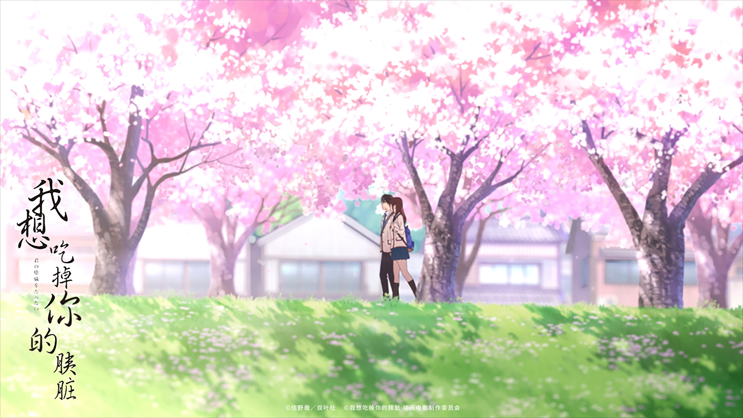 我想吃掉你的胰脏剧照的剧照