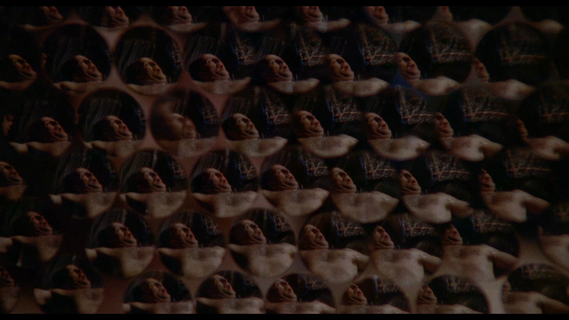 黄蜂女来袭剧照的剧照