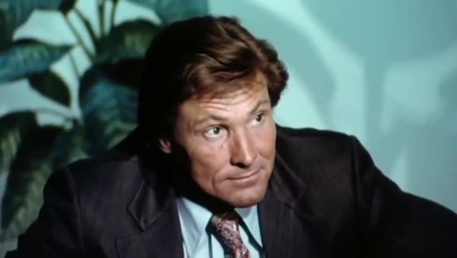 黄蜂女来袭剧照的剧照