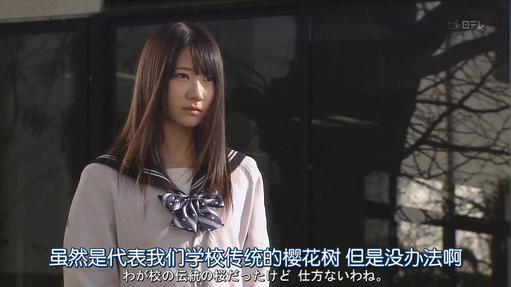 来自樱花的信：AKB48成员们的毕业物语剧照的剧照