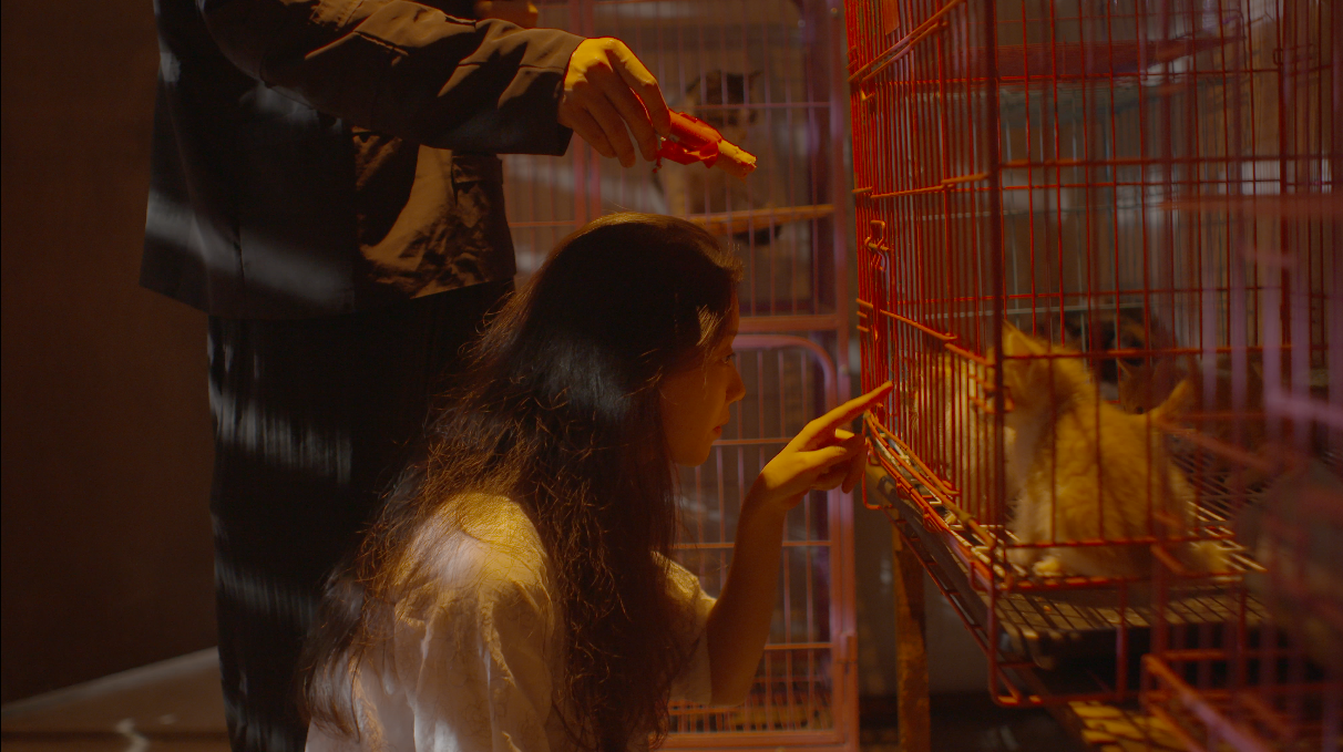 格式化少女剧照的剧照