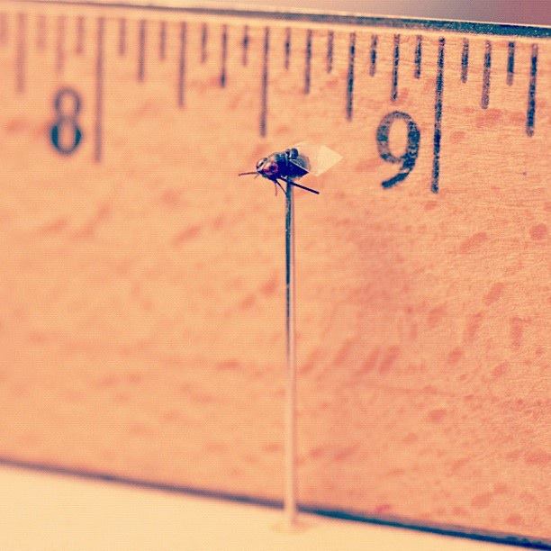 通灵男孩诺曼剧照的剧照