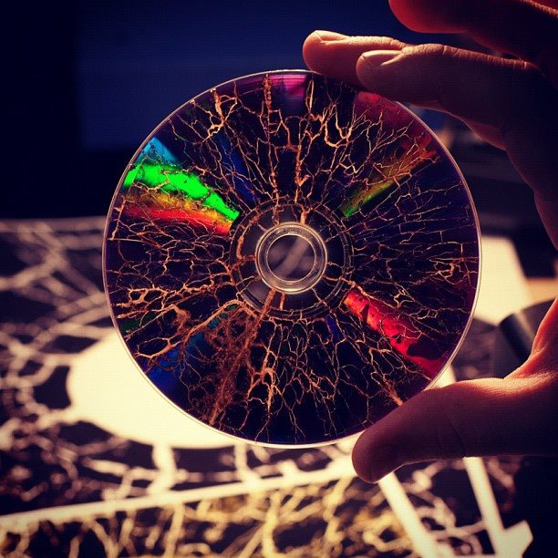 通灵男孩诺曼剧照的剧照