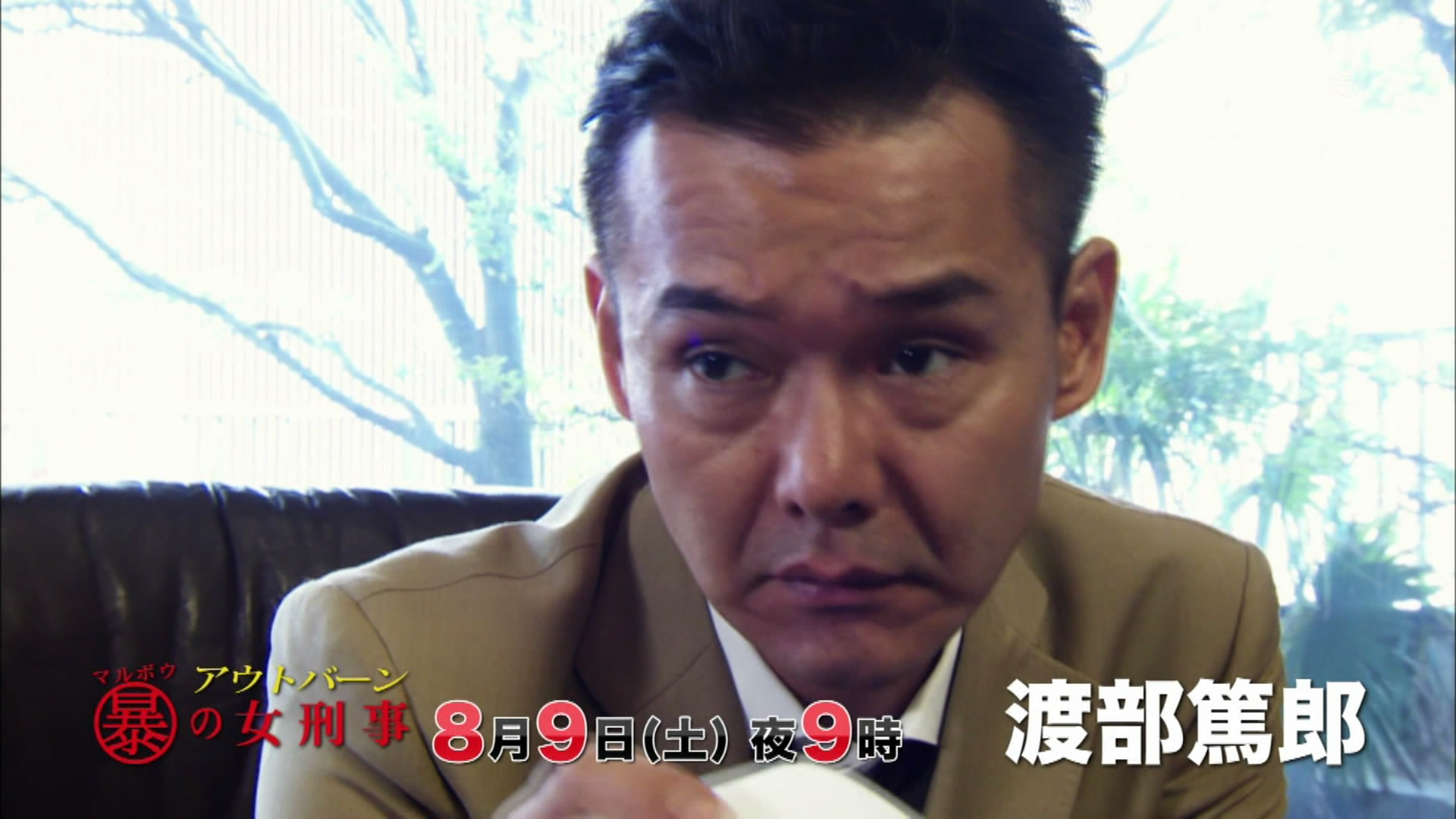 Outburn~组织犯罪对策科 八神瑛子剧照的剧照