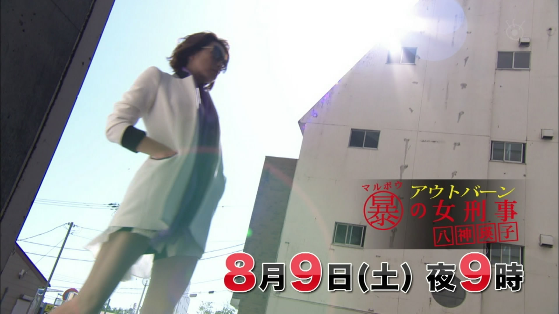 Outburn~组织犯罪对策科 八神瑛子剧照的剧照