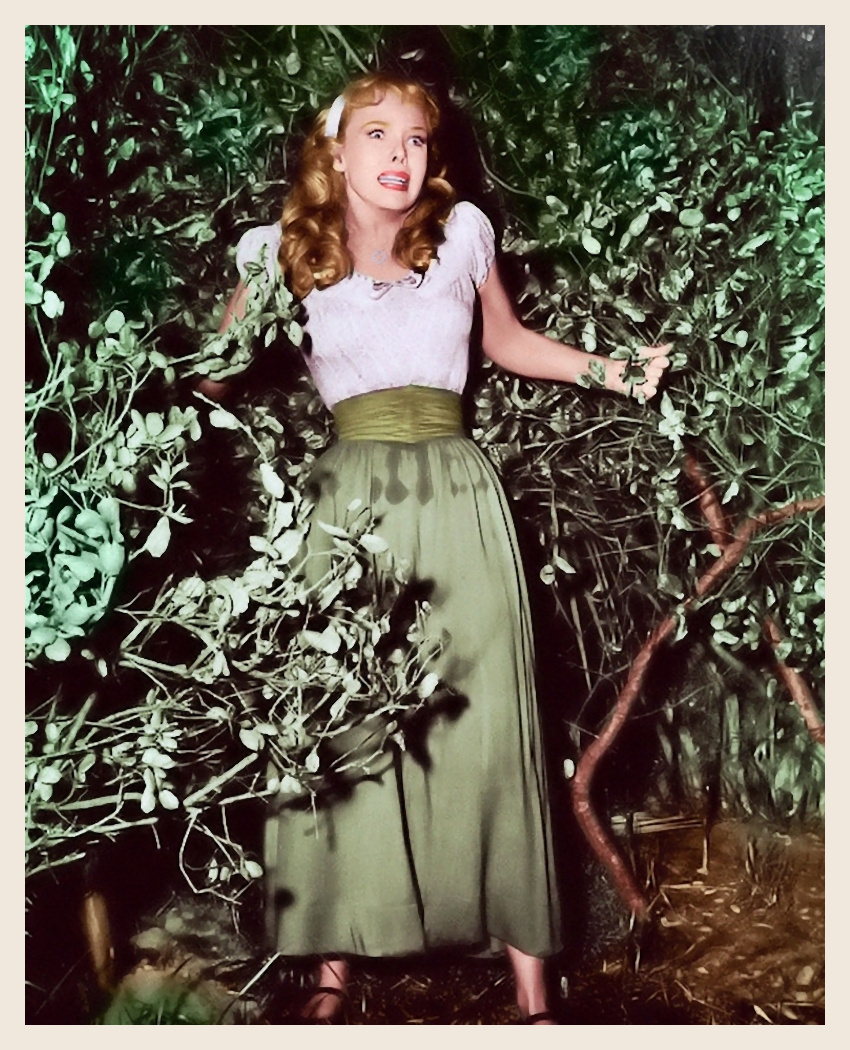 新科学怪人剧照的剧照