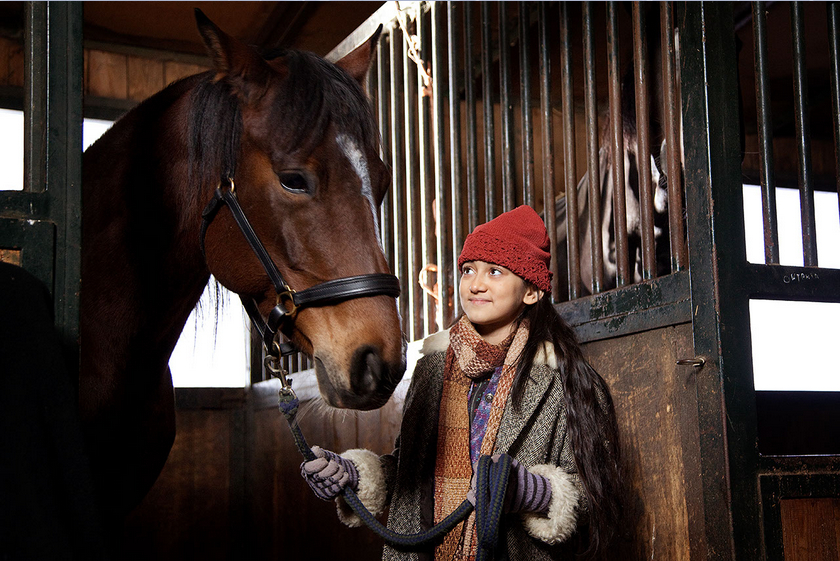 阳台上的马剧照的剧照
