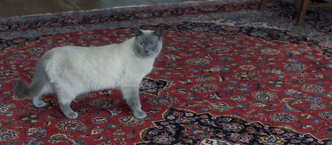 反物质危机剧照的剧照