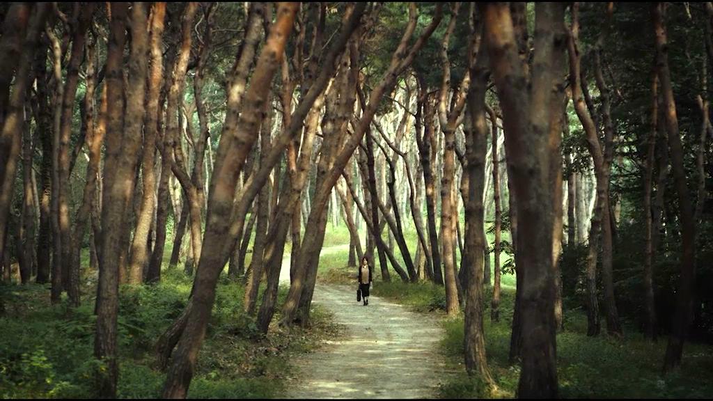 抓住那个家伙剧照的剧照