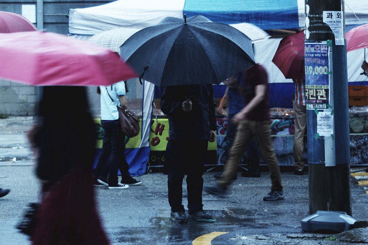 抓住那个家伙剧照的剧照