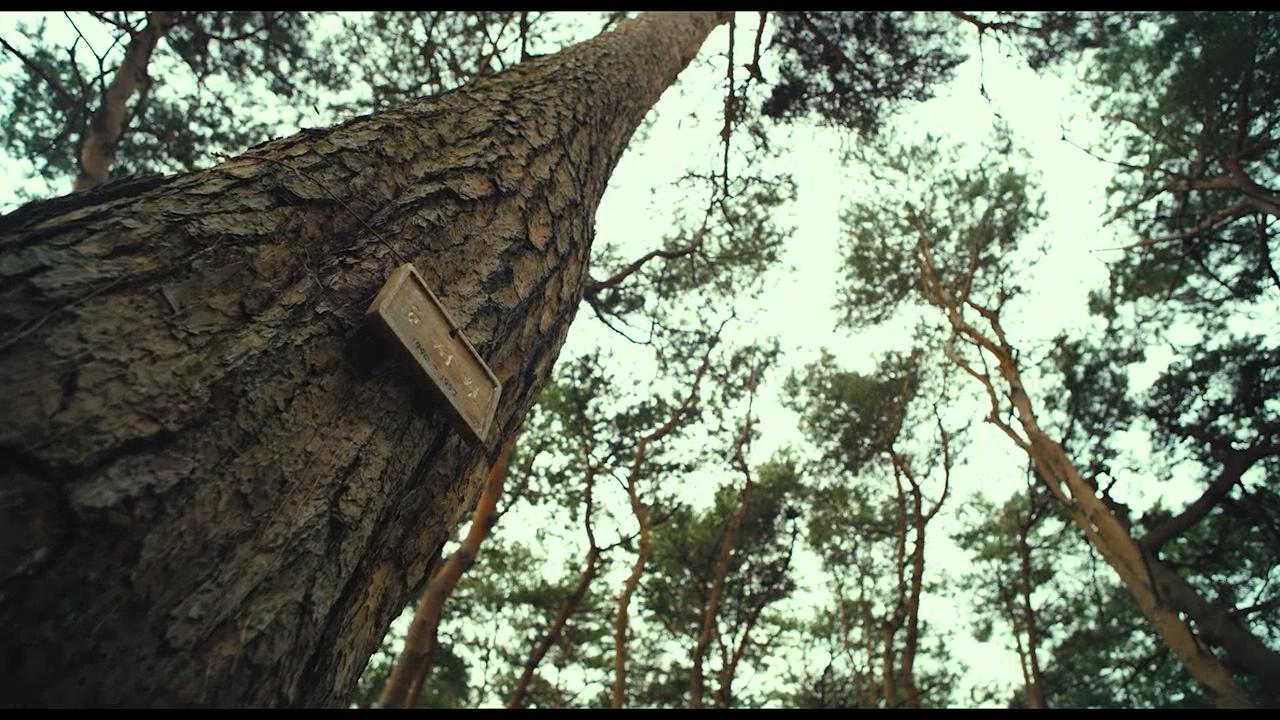 抓住那个家伙剧照的剧照