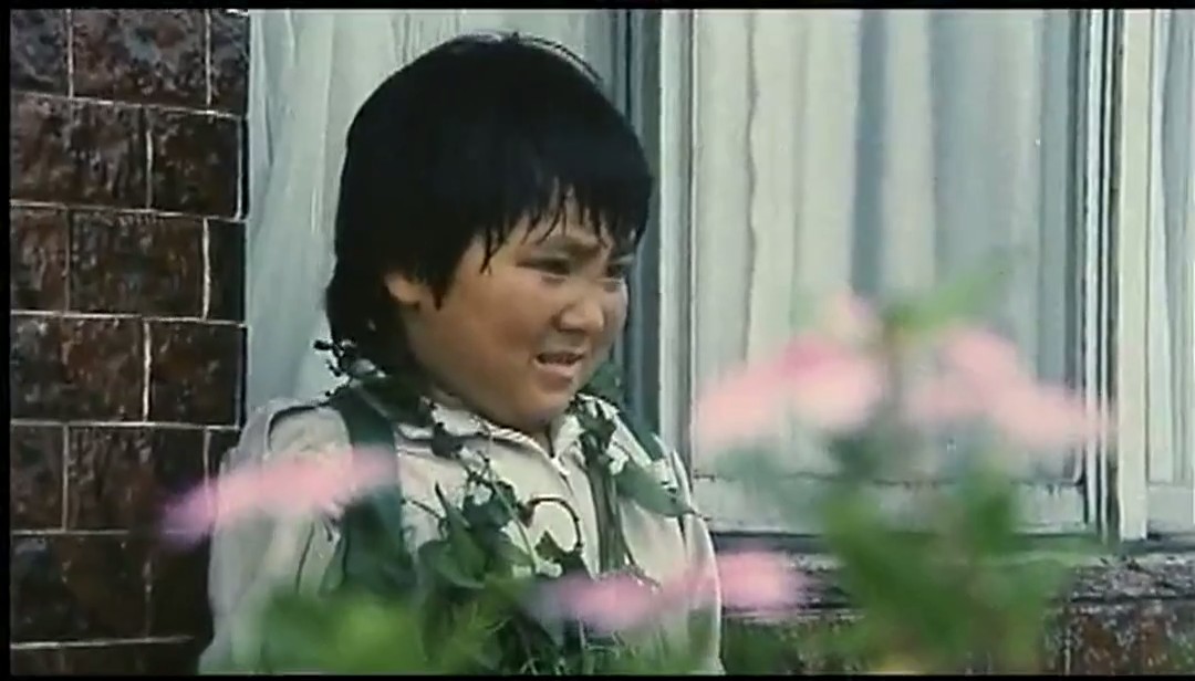 欢乐五福星剧照的剧照