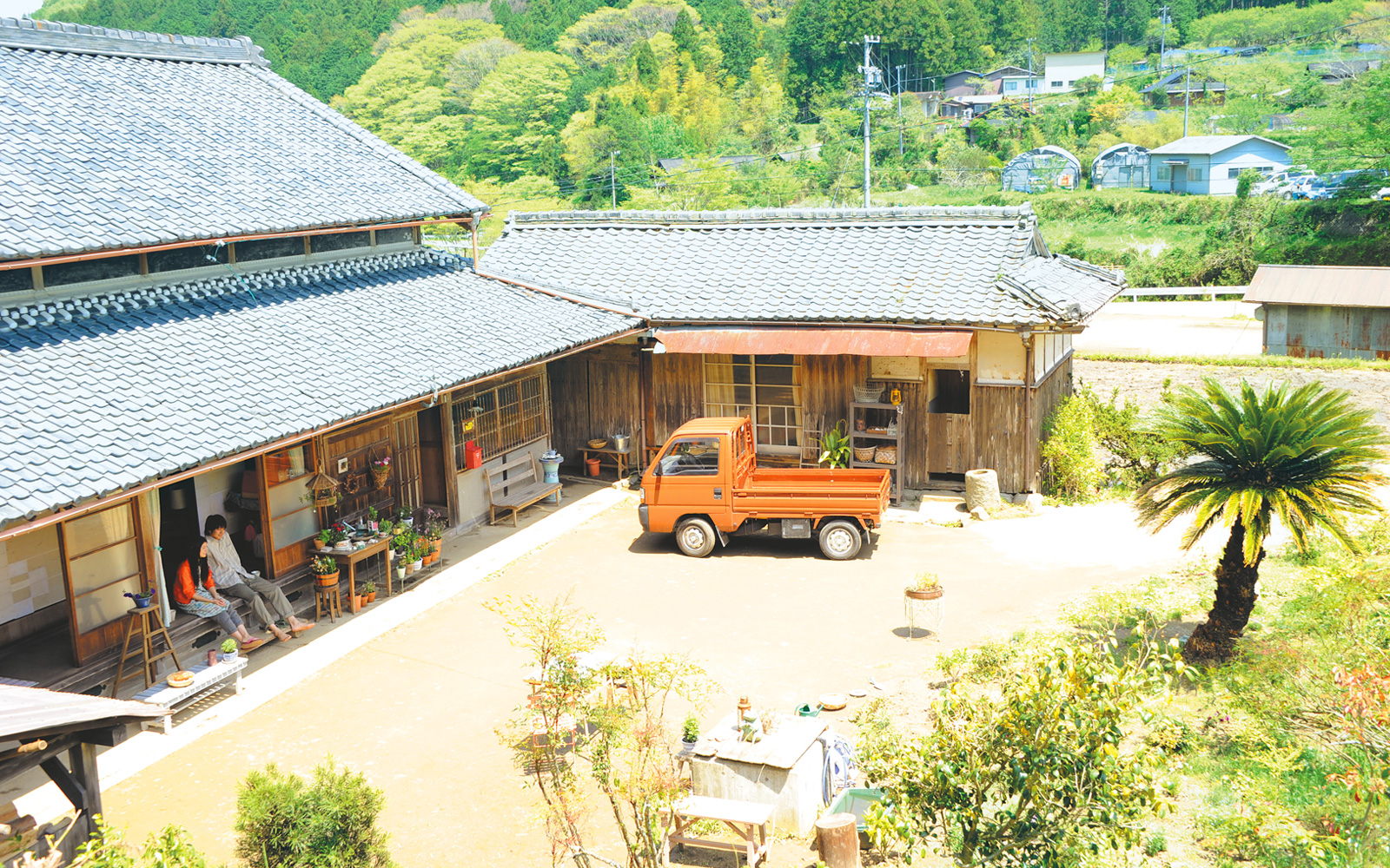 黄色大象剧照的剧照