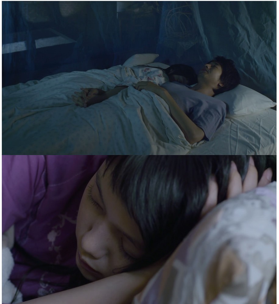 黄色大象剧照的剧照