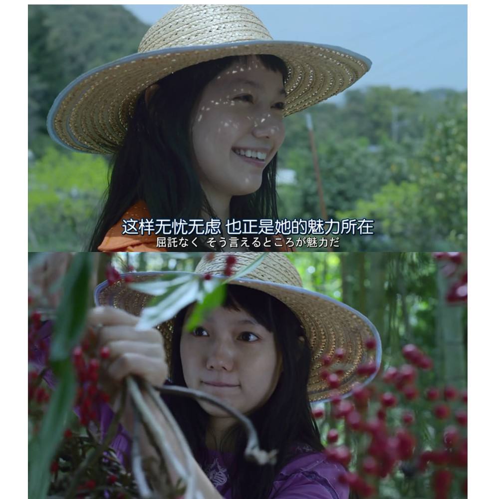 黄色大象剧照的剧照