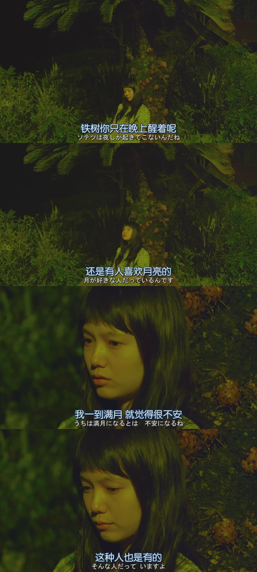 黄色大象剧照的剧照