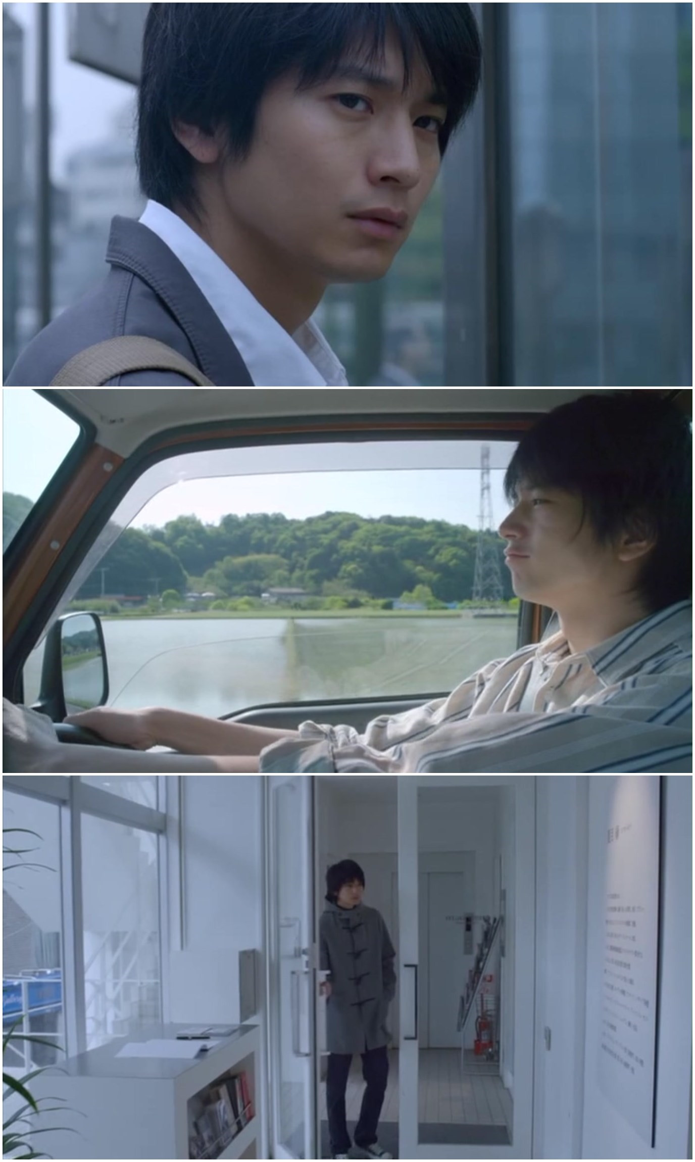 黄色大象剧照的剧照