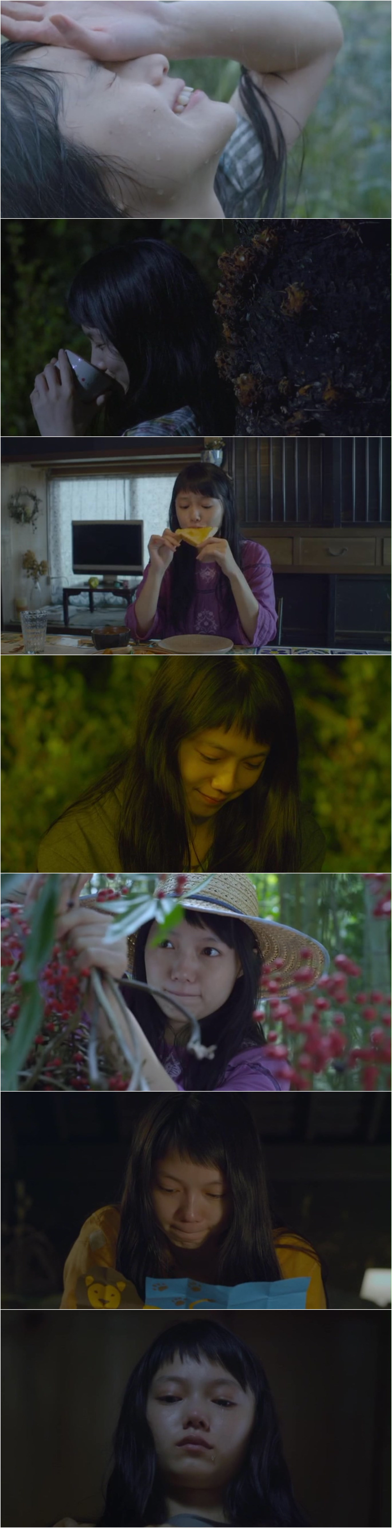 黄色大象剧照的剧照