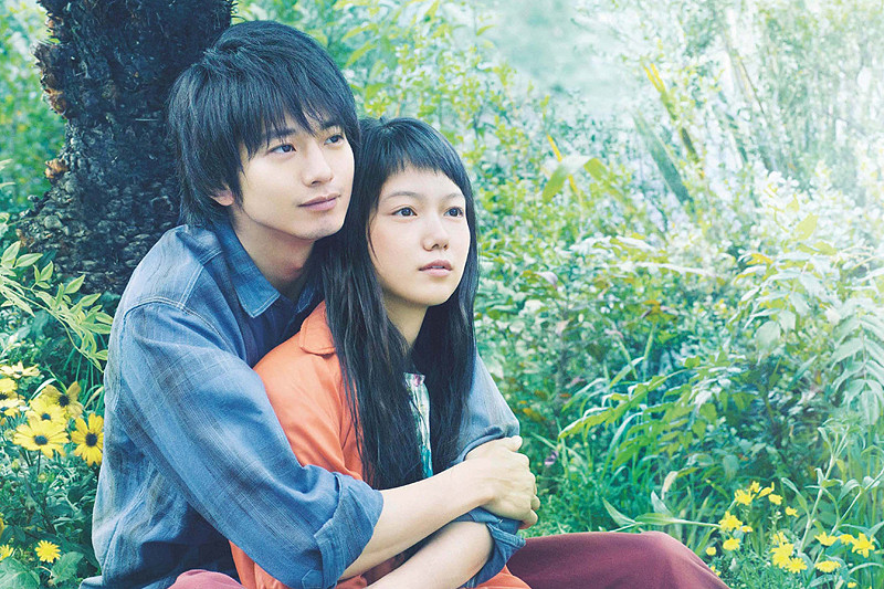 黄色大象剧照的剧照