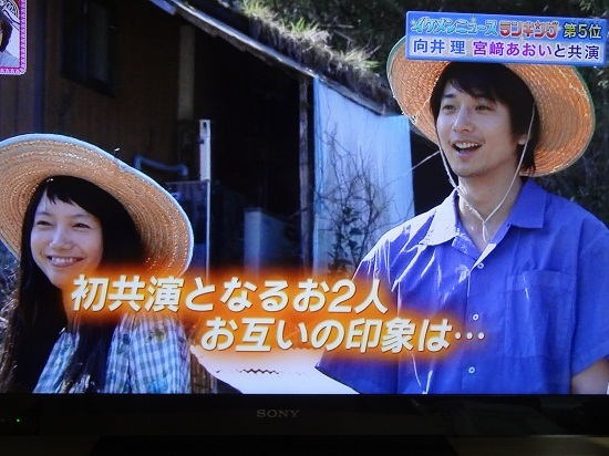 黄色大象剧照的剧照