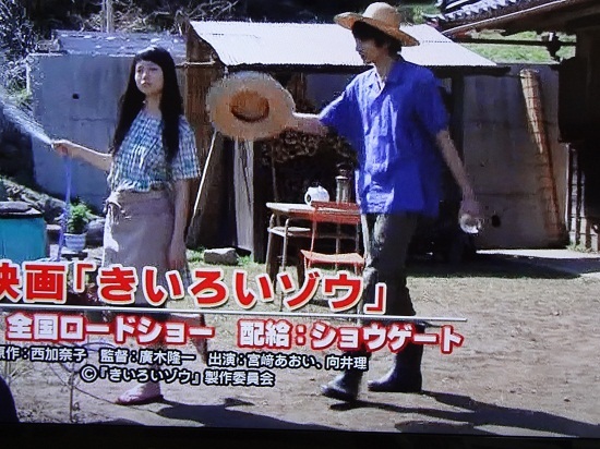 黄色大象剧照的剧照