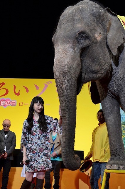 黄色大象剧照的剧照