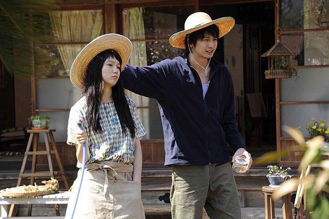 黄色大象剧照的剧照