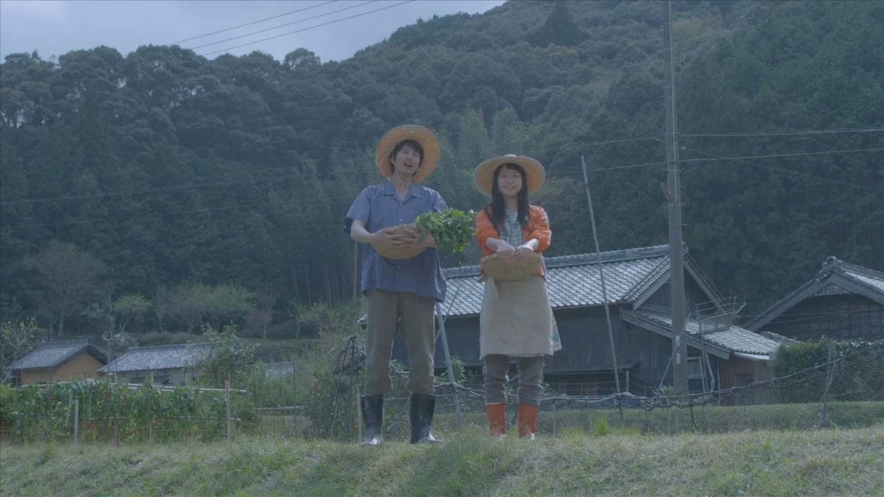 黄色大象剧照的剧照