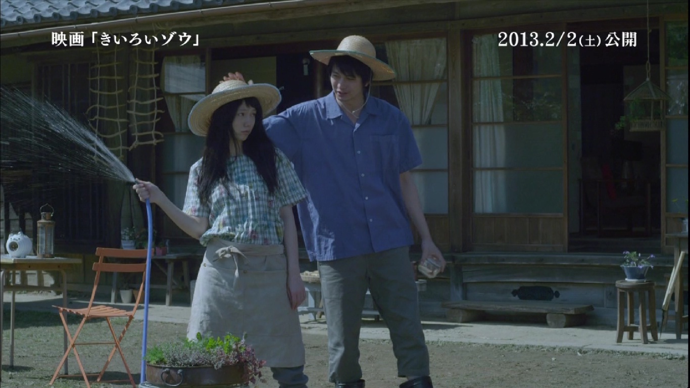 黄色大象剧照的剧照