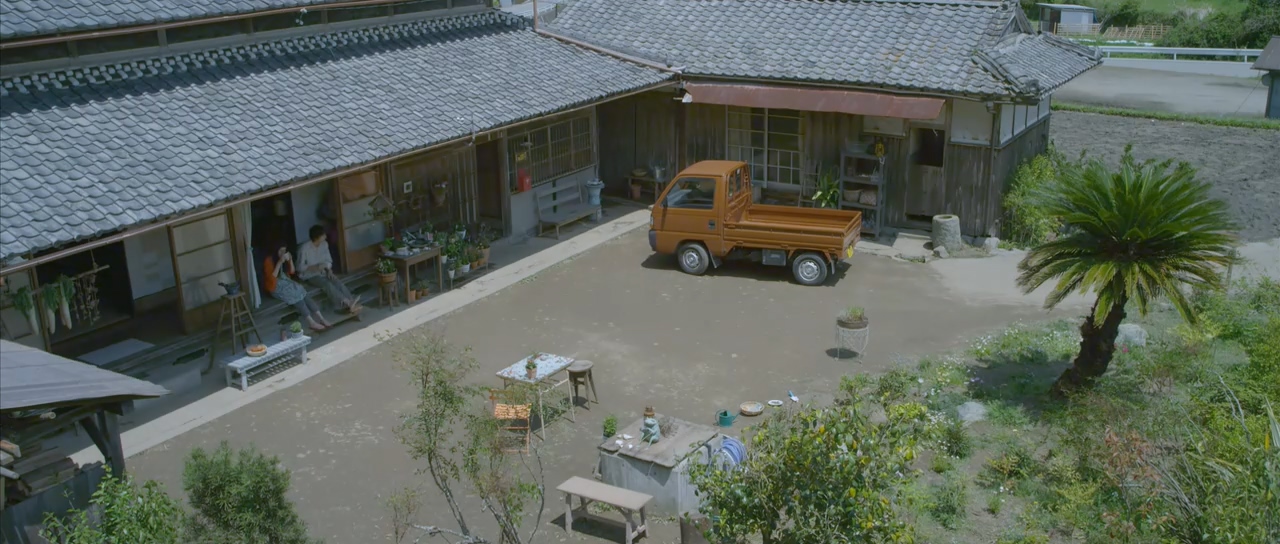 黄色大象剧照的剧照