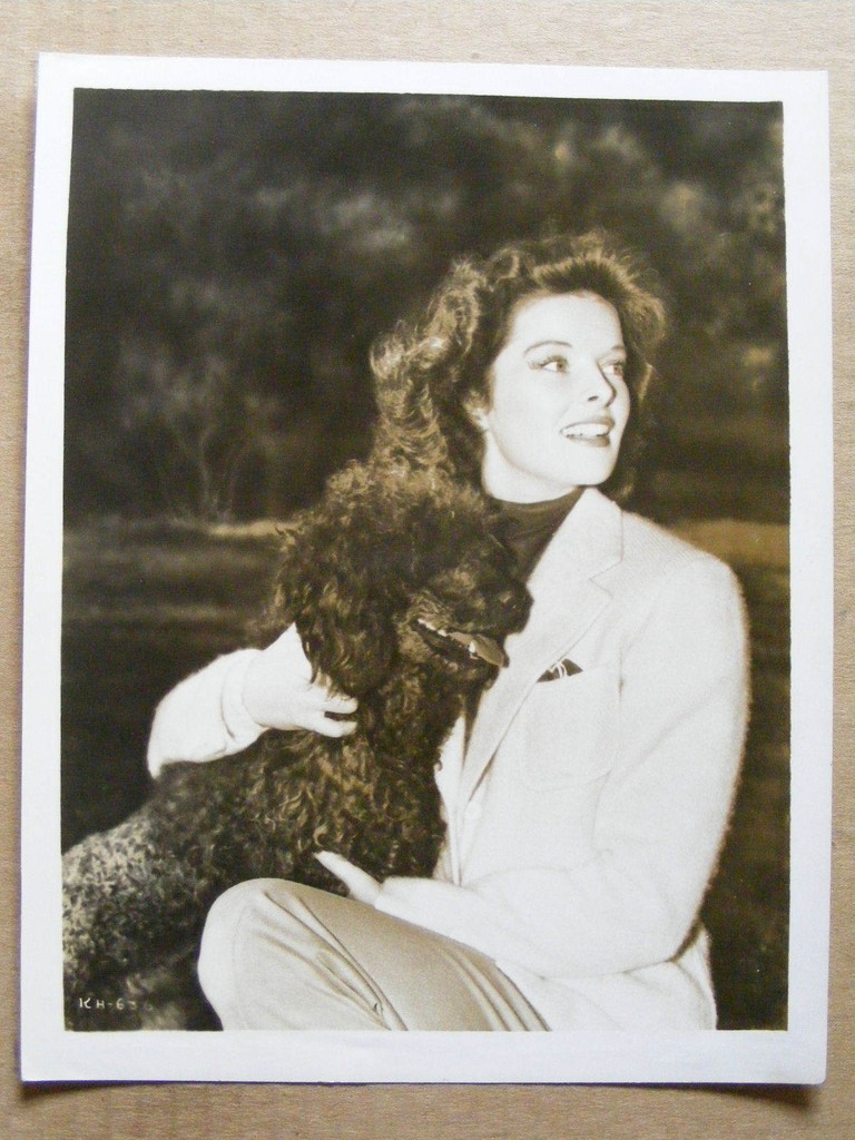 育婴奇谭剧照的剧照