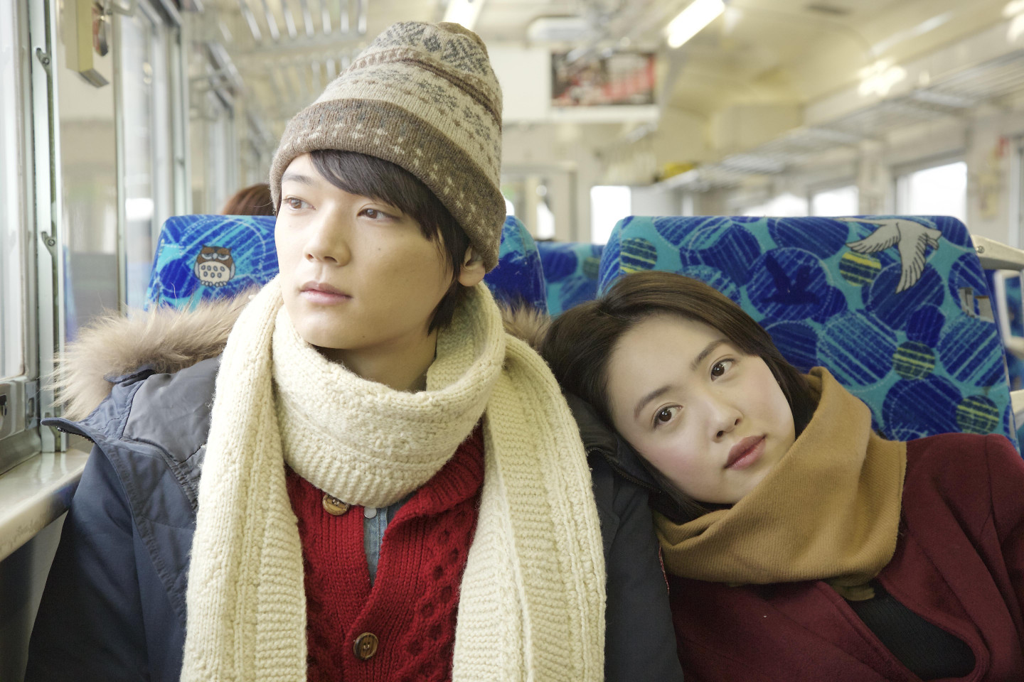 风之颜色剧照的剧照