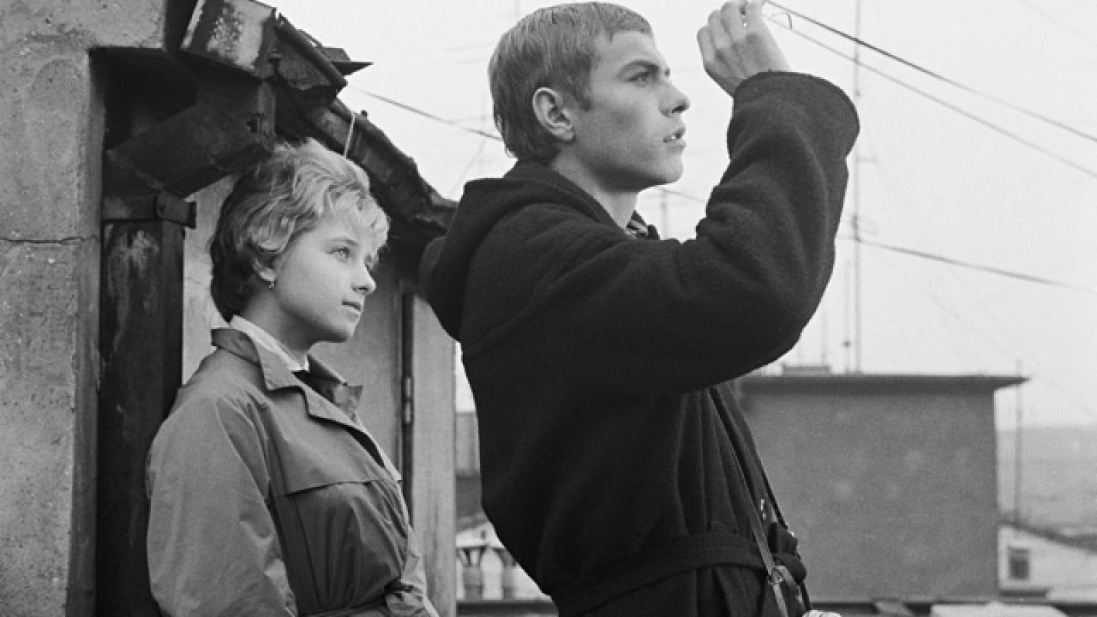 网中的太阳剧照的剧照