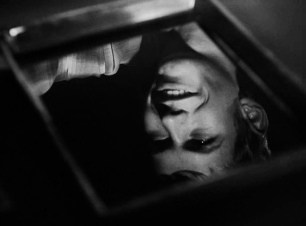 网中的太阳剧照的剧照