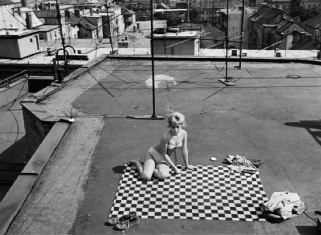 网中的太阳剧照的剧照