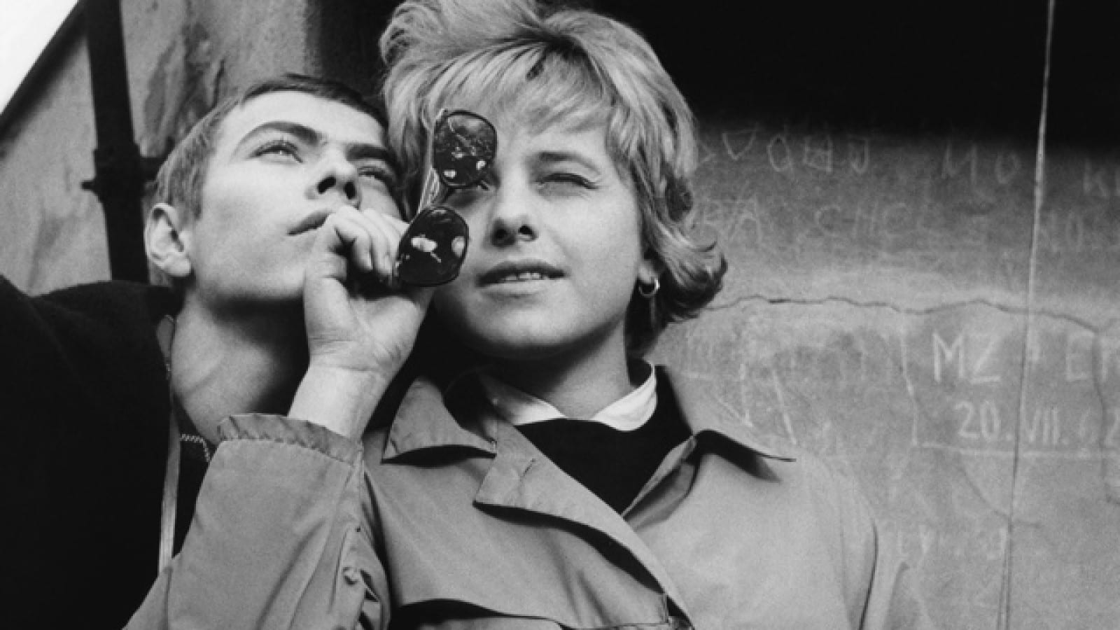 网中的太阳剧照的剧照