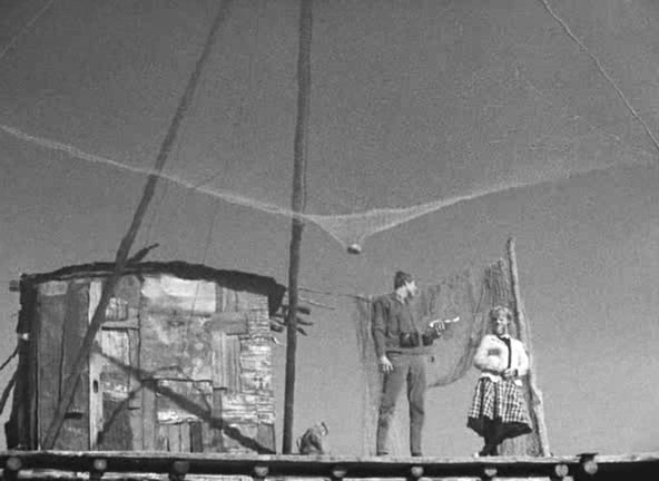 网中的太阳剧照的剧照