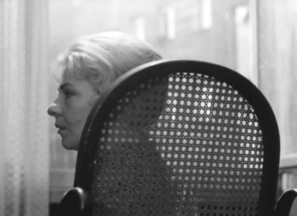 网中的太阳剧照的剧照