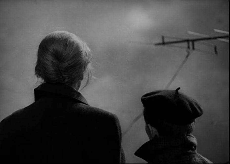 网中的太阳剧照的剧照