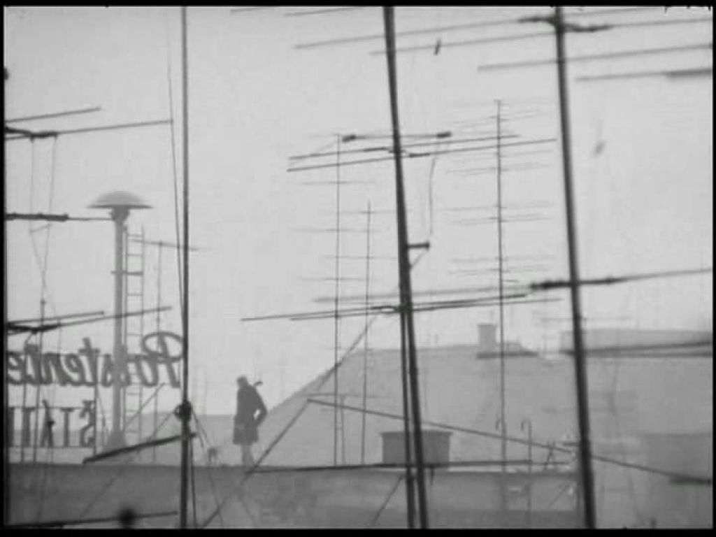 网中的太阳剧照的剧照