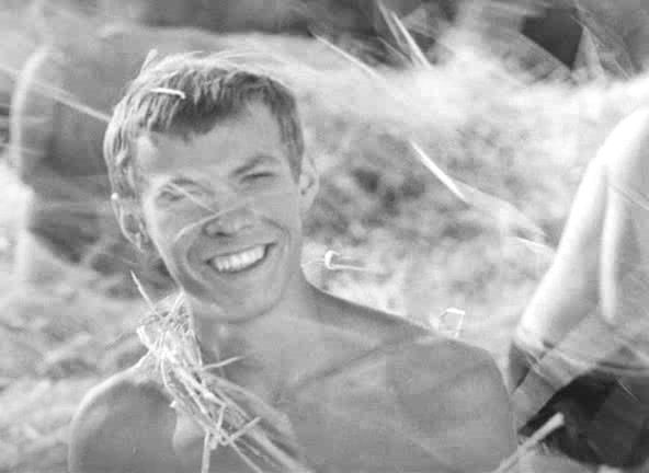 网中的太阳剧照的剧照