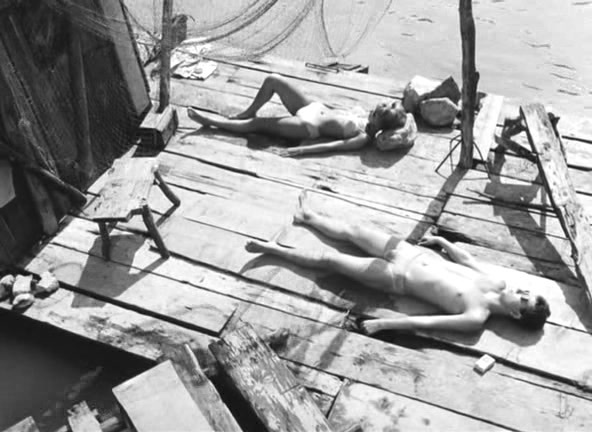 网中的太阳剧照的剧照