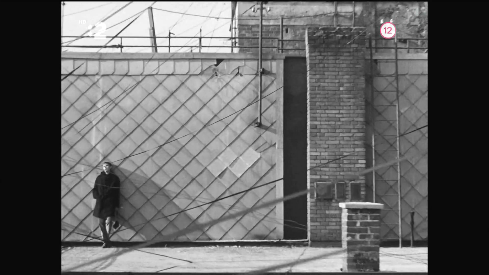 网中的太阳剧照的剧照