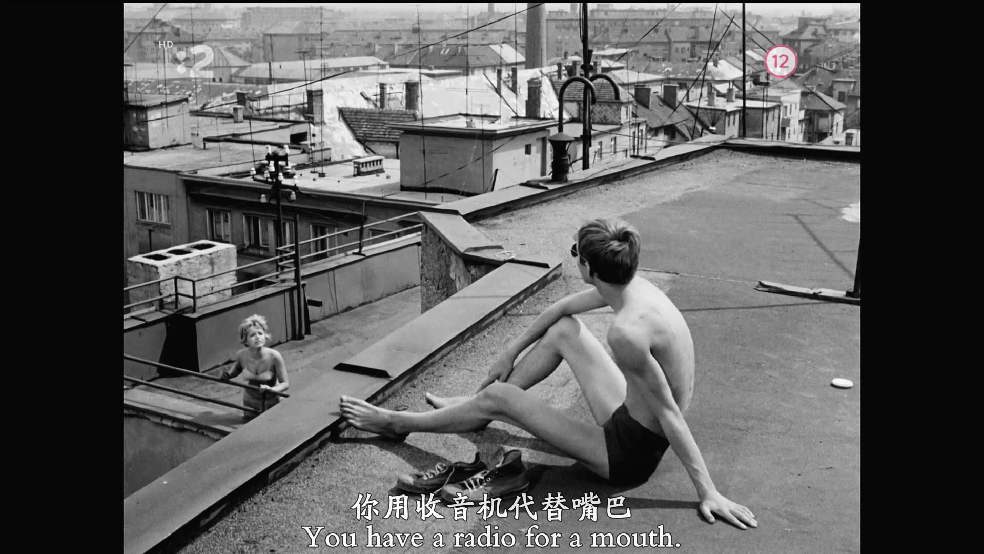 网中的太阳剧照的剧照