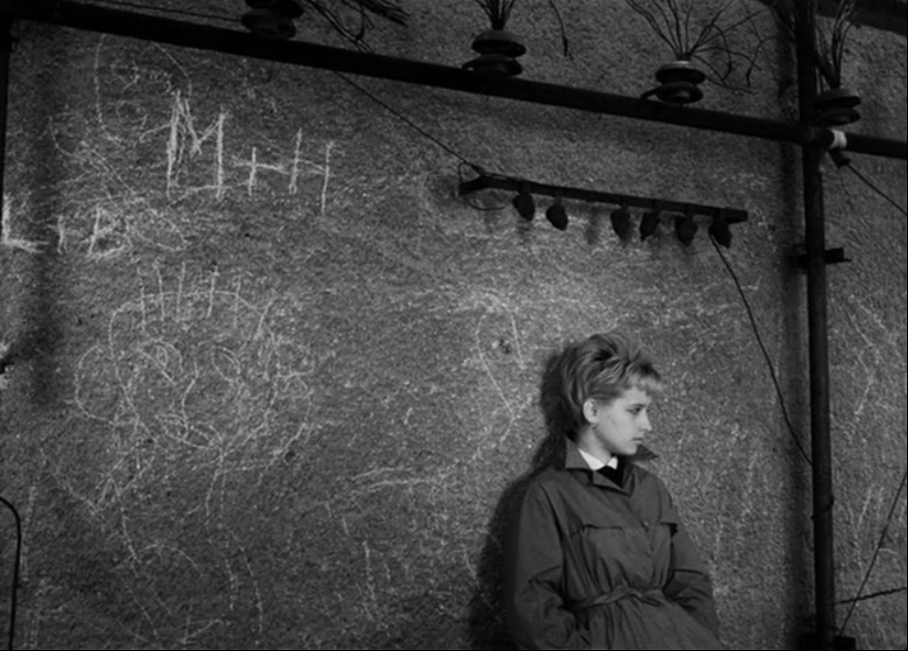 网中的太阳剧照的剧照