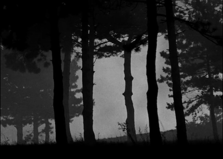 网中的太阳剧照的剧照